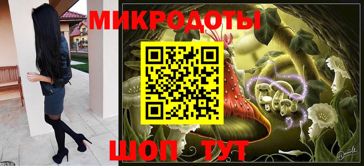 Псилоцибиновые грибы Cubensis Пятигорск